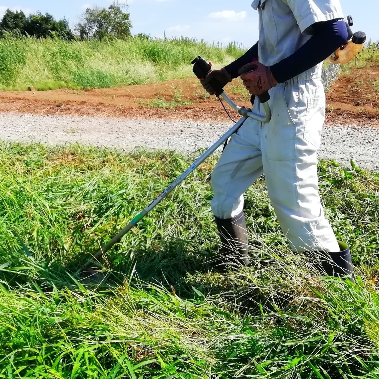 草刈り 長久手市 | 長久手市で草刈りならお庭の窓口長久手市