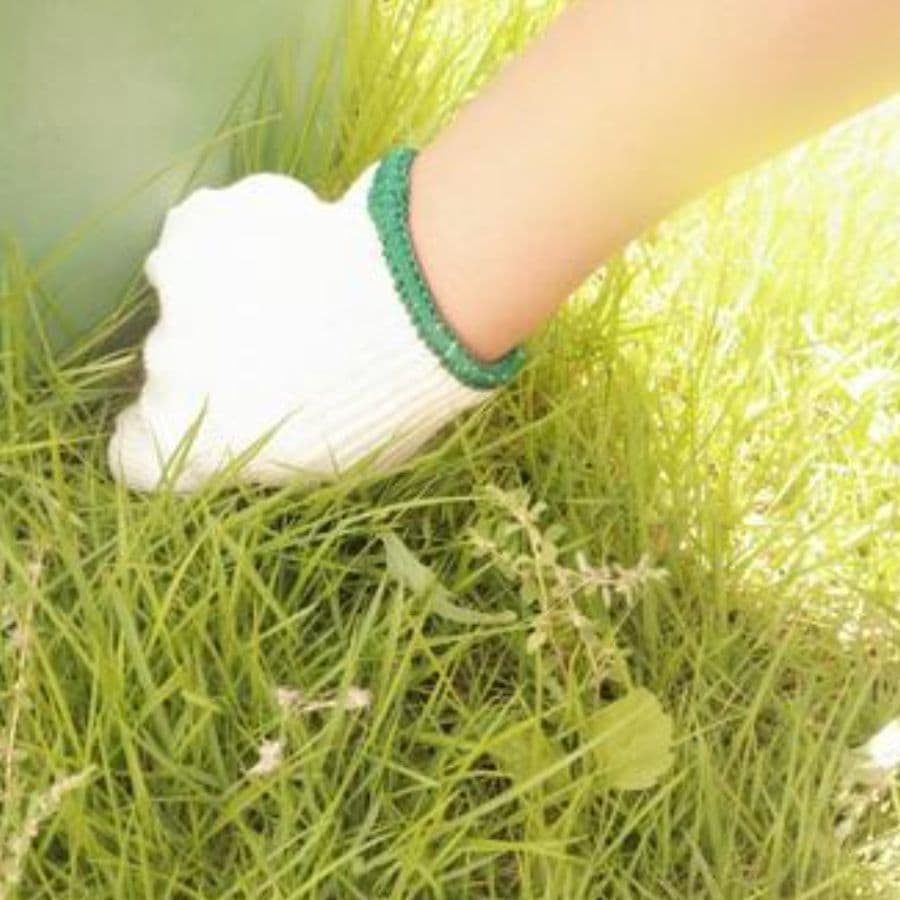 草取り 長久手市 | 長久手市で草取りならお庭の窓口長久手市