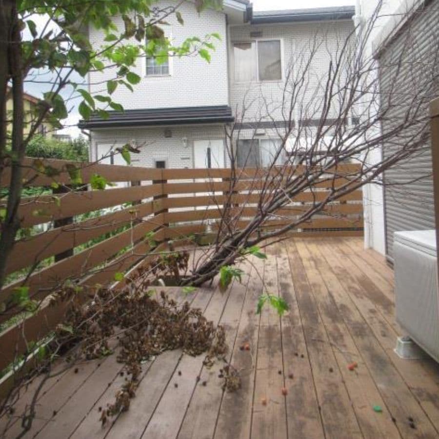 倒木撤去 長久手市 | 長久手市で庭木の倒木撤去ならお庭の窓口長久手市