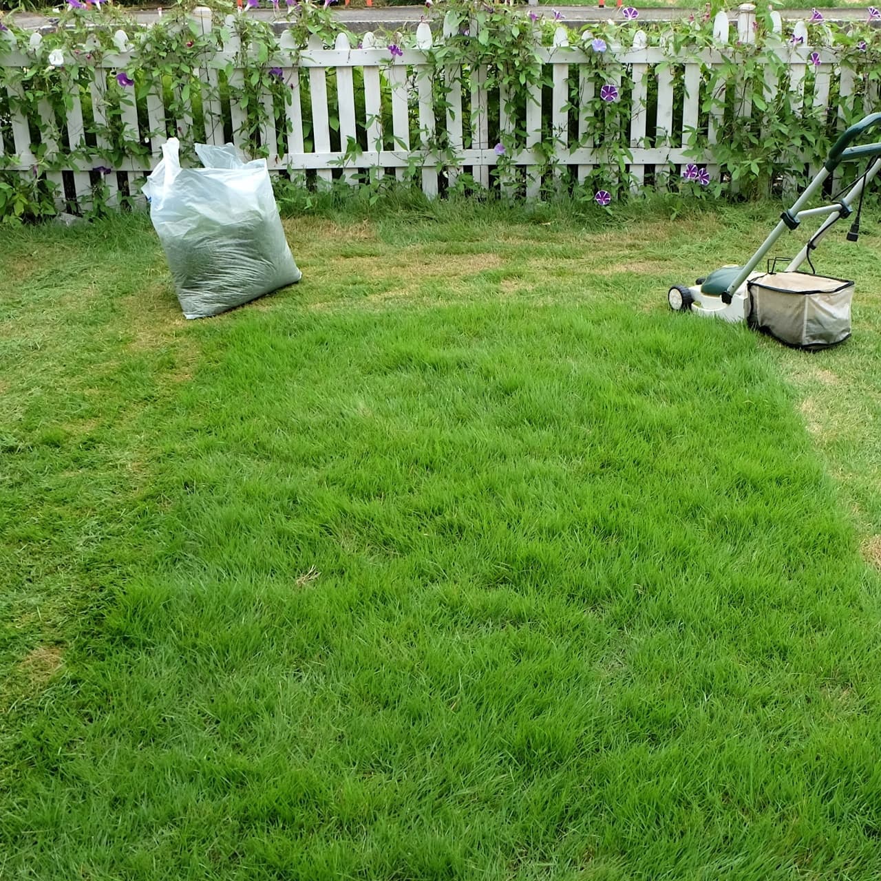 芝生の手入れ 長久手市 | 長久手市で芝生の手入れならお庭の窓口長久手市