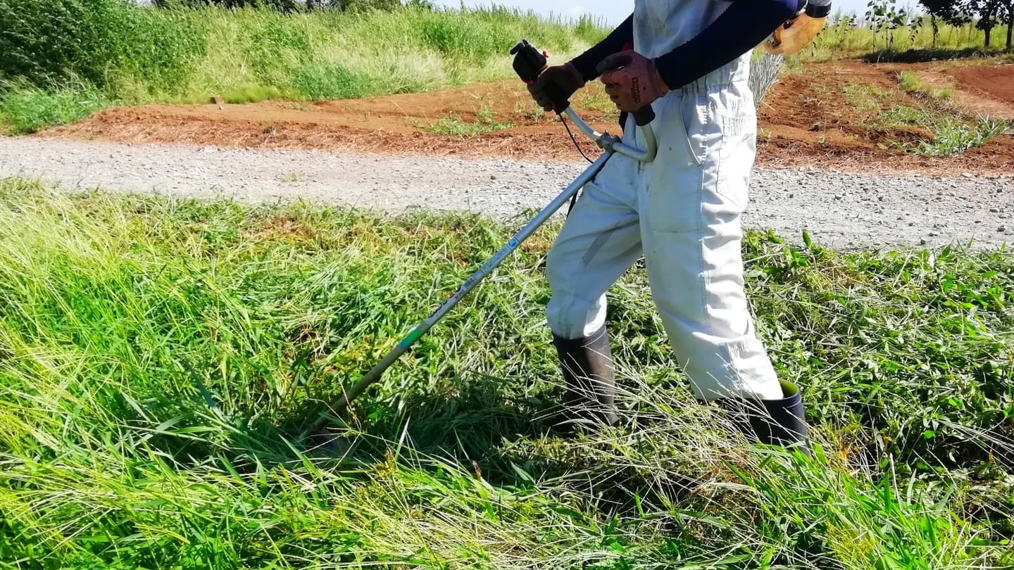 草刈り 長久手市 | 長久手市で草刈りならお庭の窓口長久手市