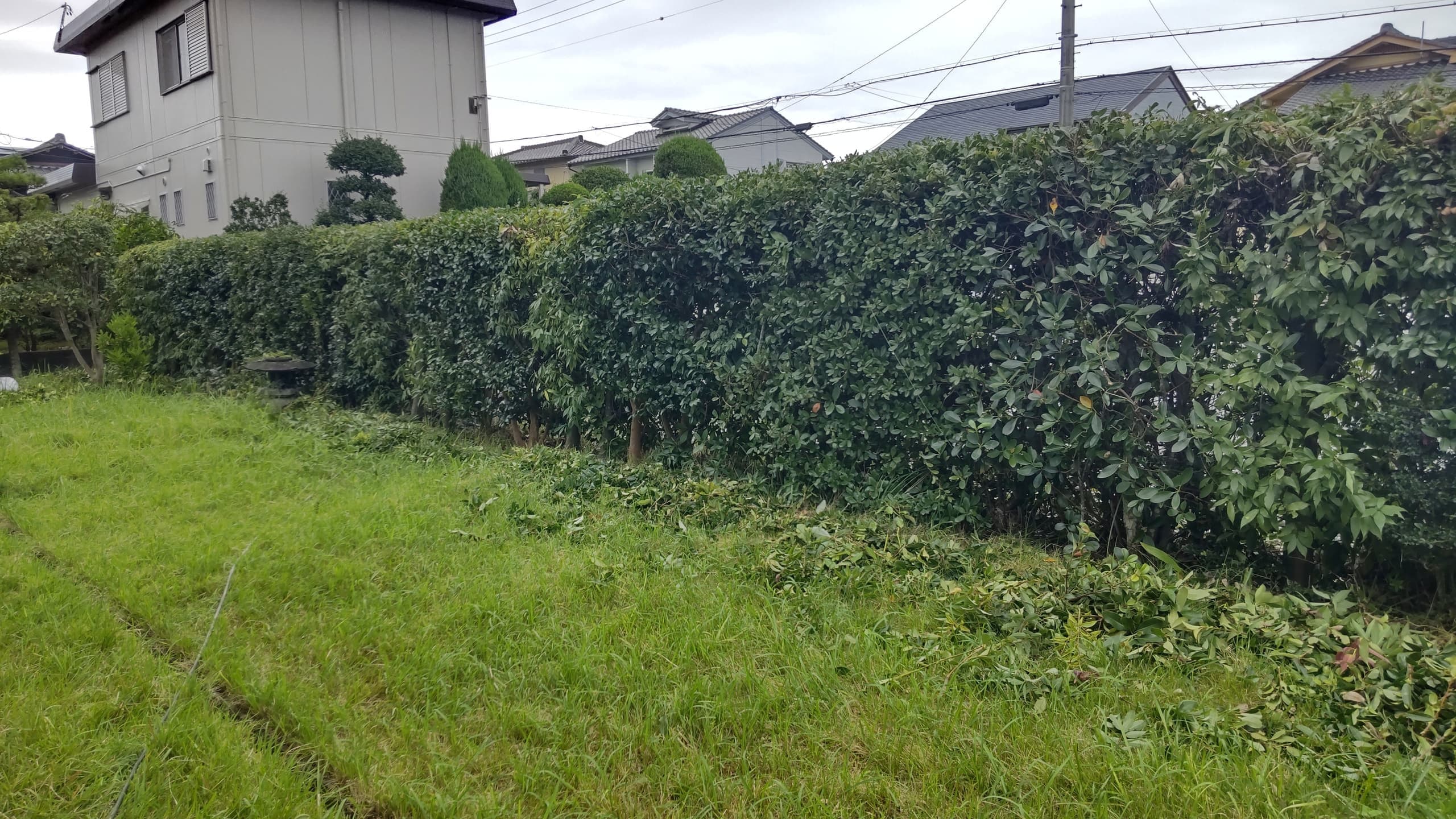 生垣剪定 東海市 | 東海市で生垣剪定ならお庭の窓口東海市