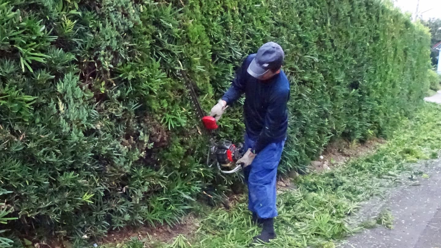 生垣剪定 長久手市 | 長久手市で生垣剪定ならお庭の窓口長久手市