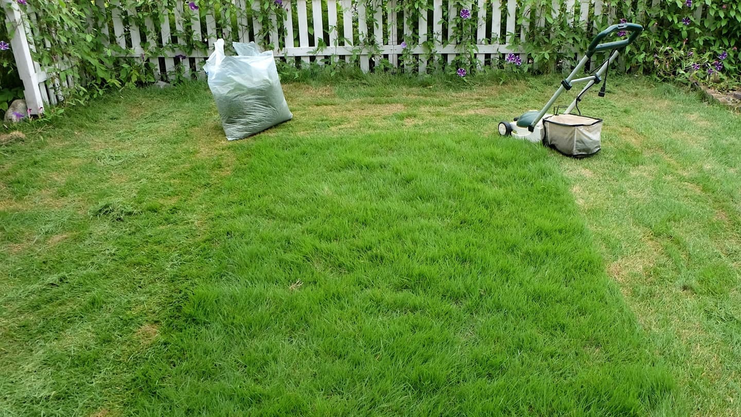 芝生の手入れ 長久手市 | 長久手市で芝生の手入れならお庭の窓口長久手市