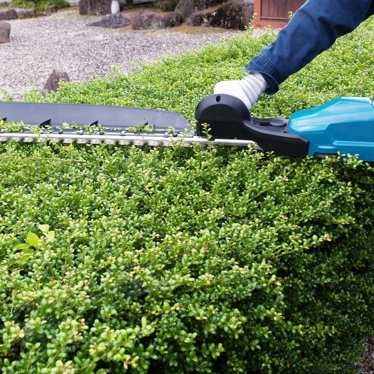 植込み剪定 長久手市 | 長久手市で庭木の植込み剪定ならお庭の窓口長久手市