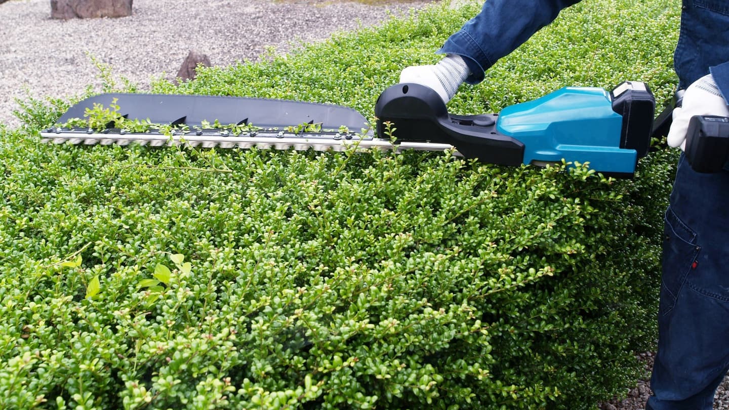 植込み剪定 長久手市 | 長久手市で植込み剪定ならお庭の窓口長久手市