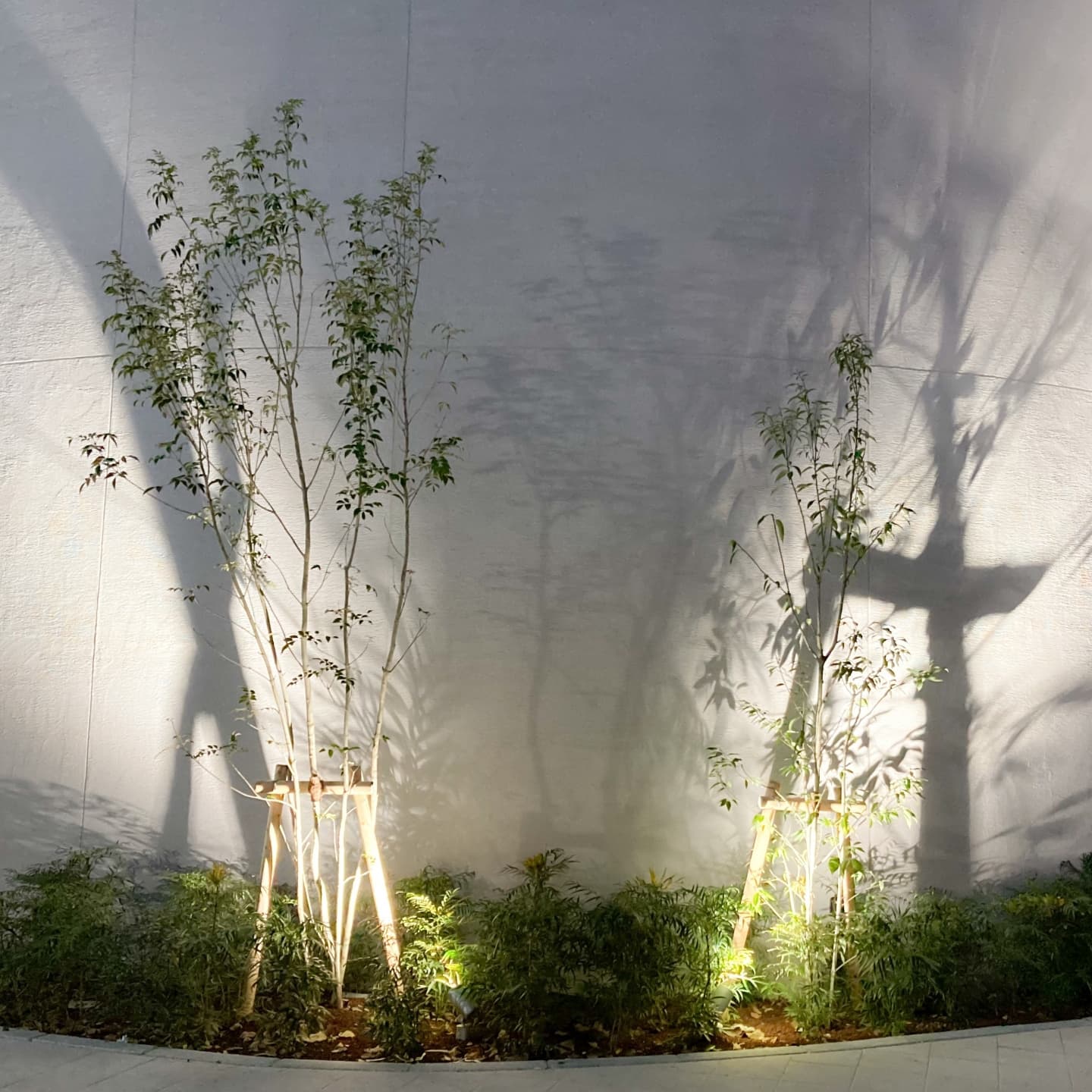 庭木の植栽 長久手市 | 長久手市で庭木の植栽ならお庭の窓口長久手市