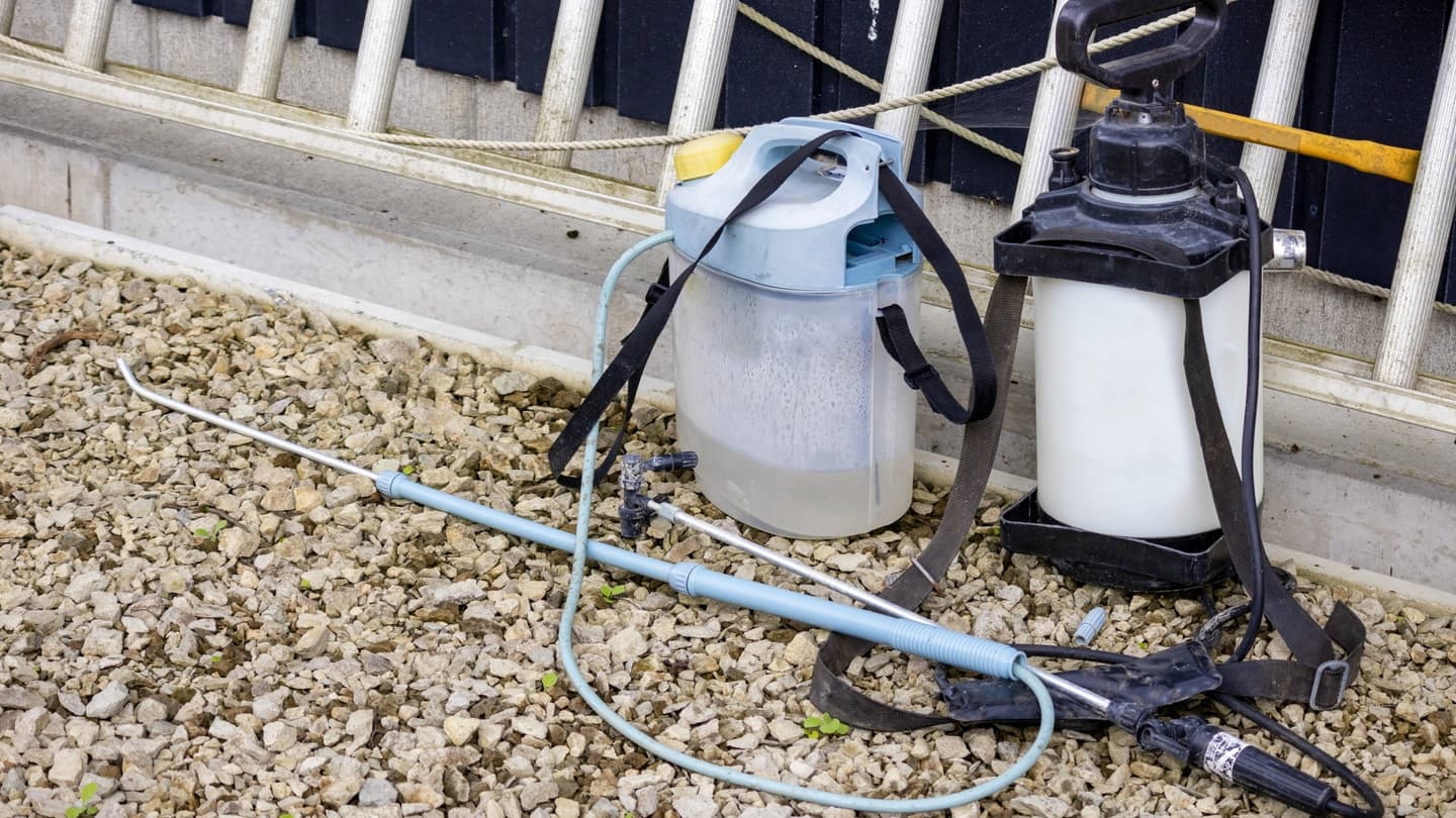 庭木の消毒・害虫対策 長久手市 | 長久手市で庭木の消毒・害虫対策ならお庭の窓口長久手市