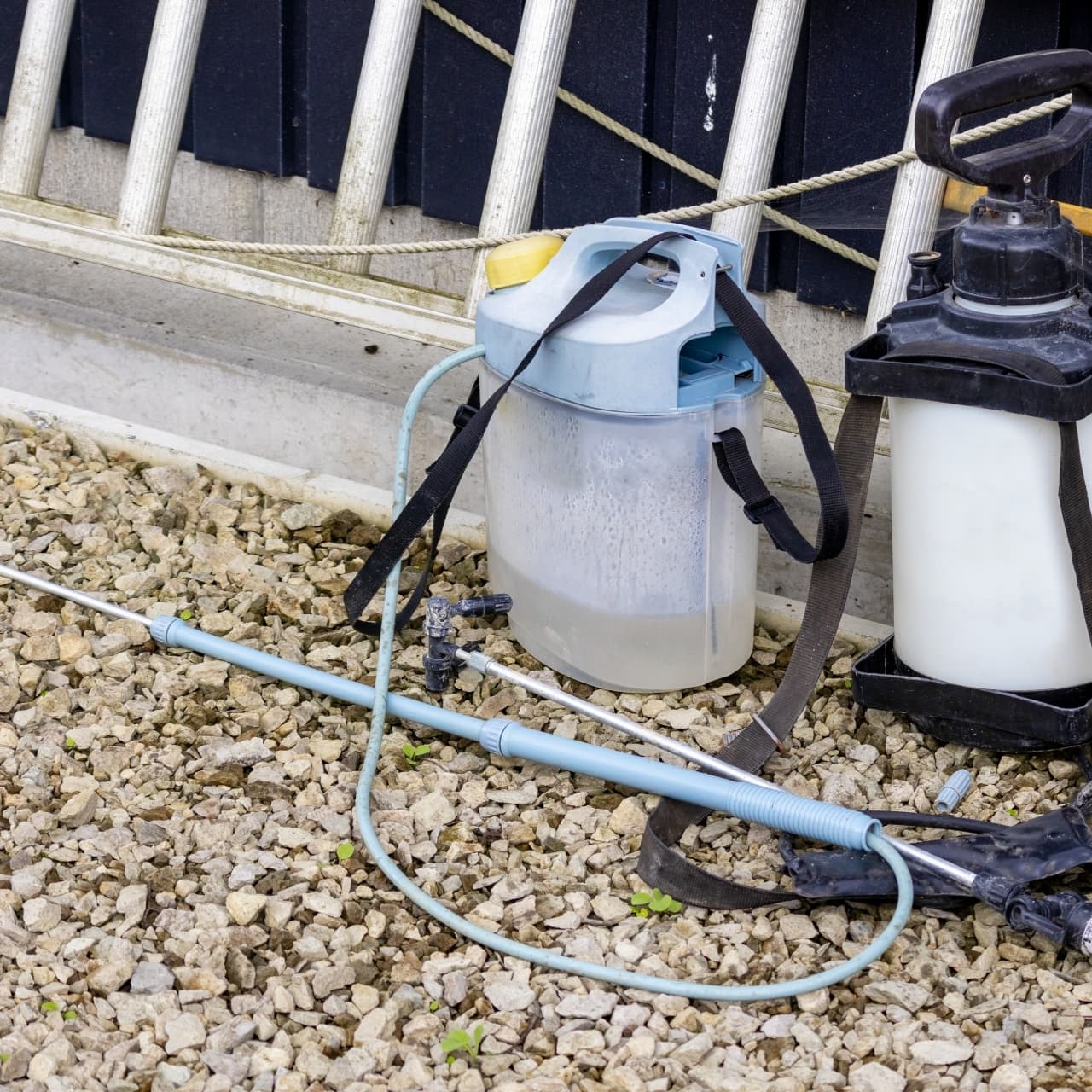 庭木の消毒・害虫対策 長久手市 | 長久手市で庭木の消毒・害虫対策ならお庭の窓口長久手市